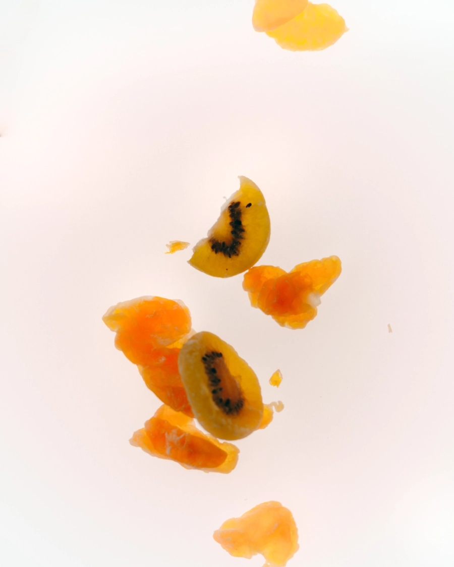 ドライフルーツの外観